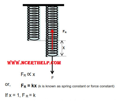 Spring  constant expression